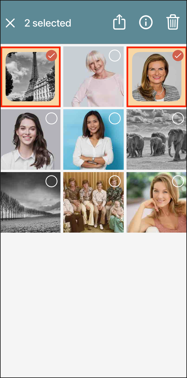Two photos selected, with their checkmarks highlighted