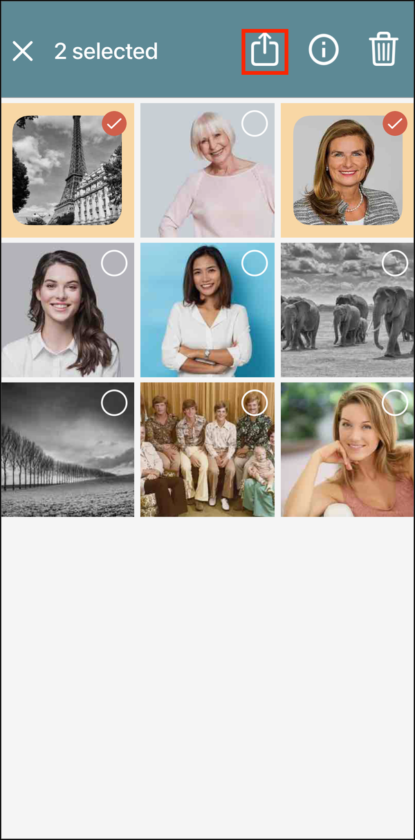 Two photos selected, with the share button highlighted