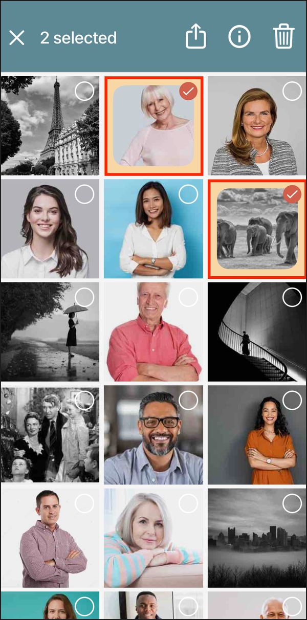 Two photos selected, with their checkmarks highlighted