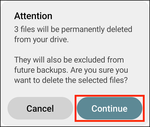 The first delete prompt, Attention, with Continue highlighted