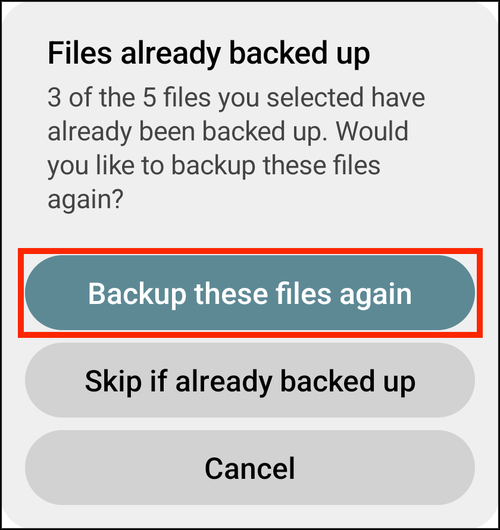 Files already backed up alert with Backup these files again highlighted